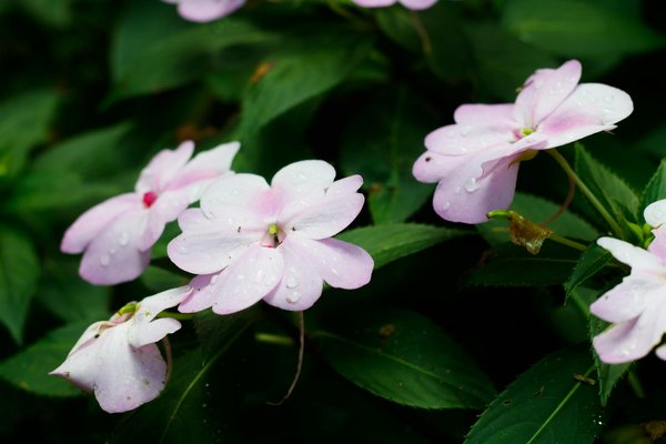 10 idées pour élever votre terrasse à un autre niveau